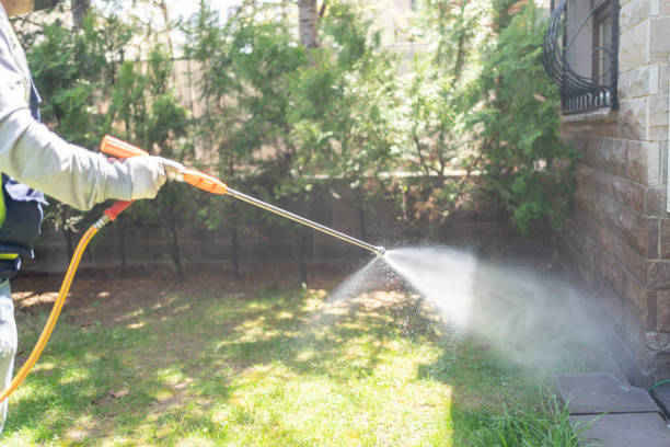 Best Local Pest Control Services  in Gateway, FL