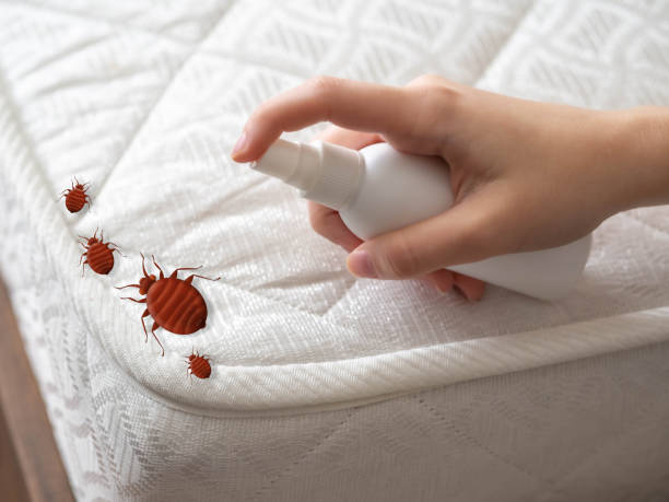 Pest Control Cost in Gateway, FL