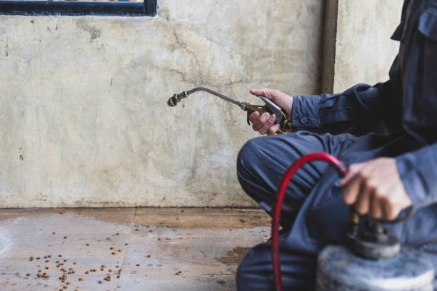 Best Emergency Pest Control  in Gateway, FL